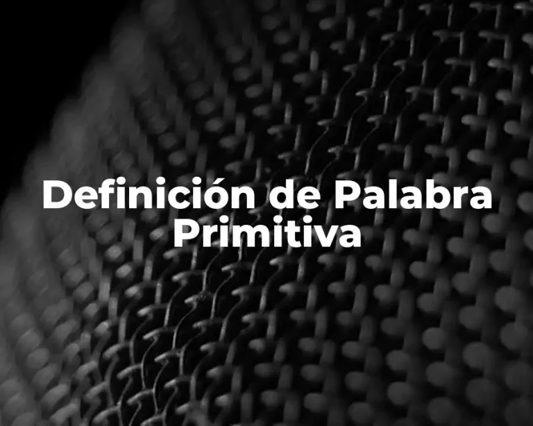 Definición de Palabra Primitiva