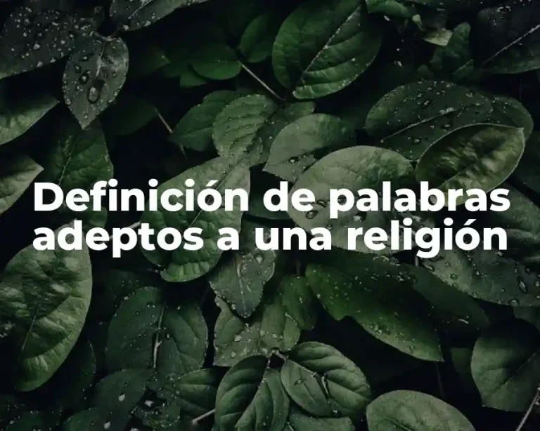 Definición de palabras adeptos a una religión