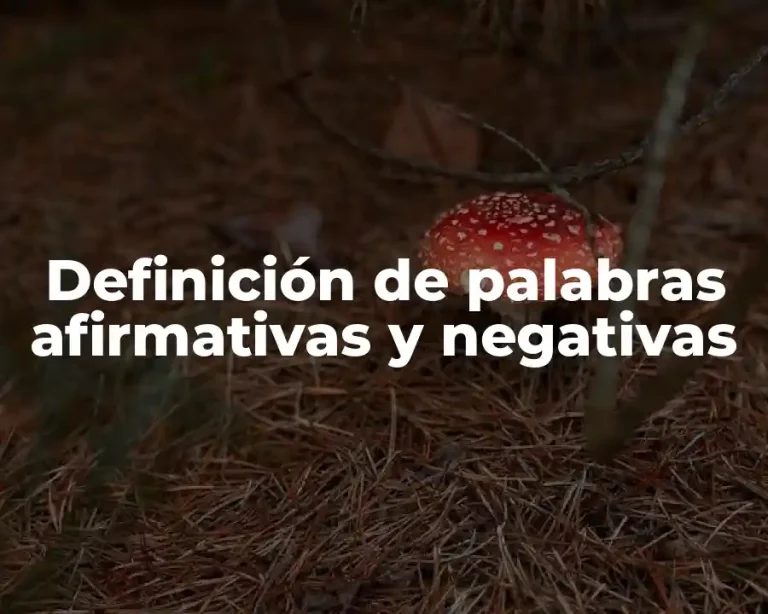 Definición de palabras afirmativas y negativas