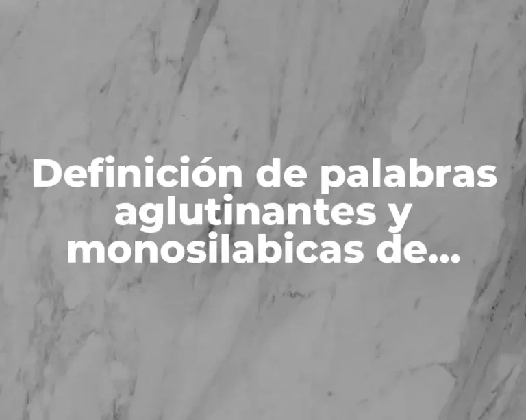 Definición de palabras aglutinantes y monosilabicas de gallica o questia