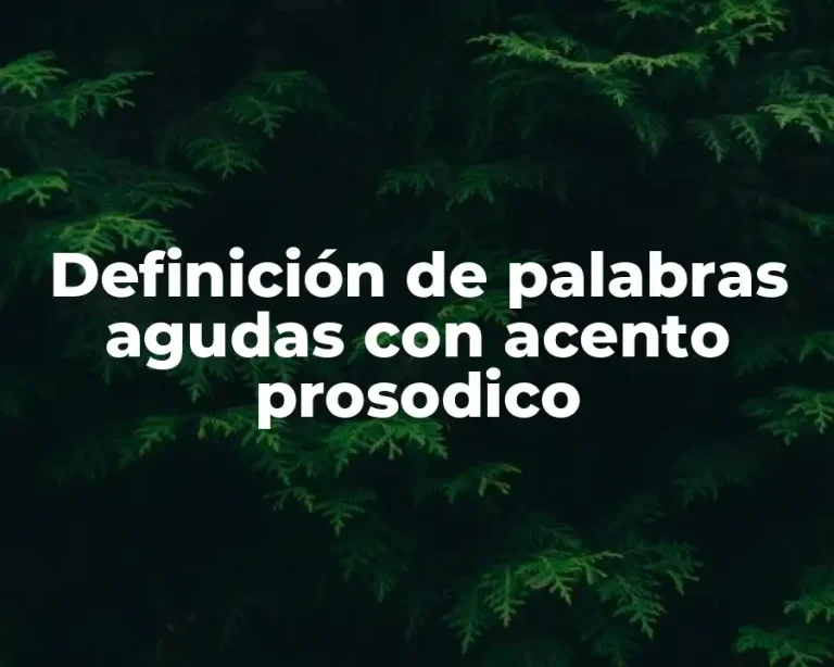 Definición de palabras agudas con acento prosodico