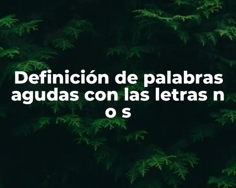 Definición de palabras agudas con las letras n o s