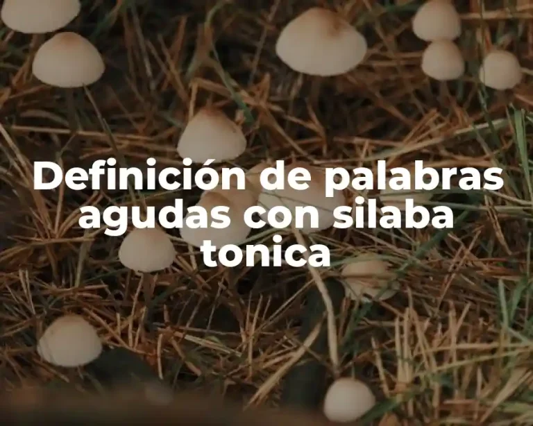 Definición de palabras agudas con silaba tonica