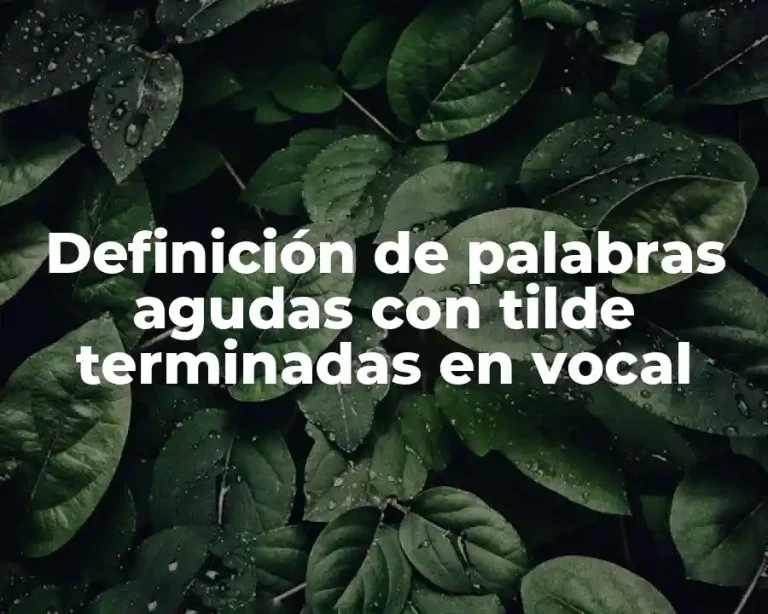 Definición de palabras agudas con tilde terminadas en vocal