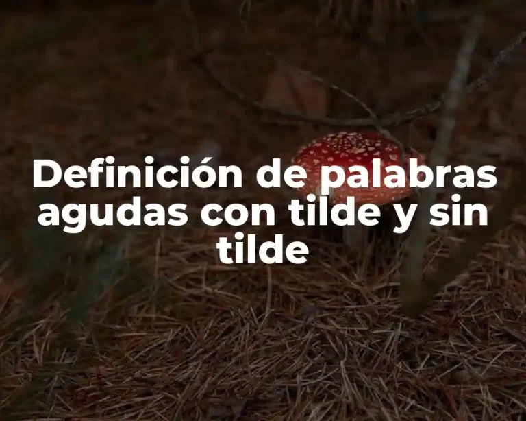 Definición de palabras agudas con tilde y sin tilde