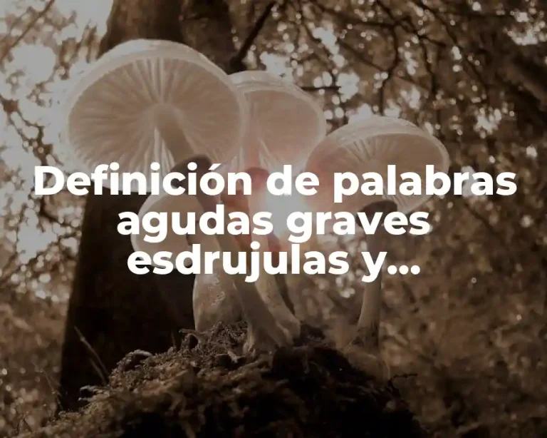 Definición de palabras agudas graves esdrujulas y sobreesdrujulas sin acento