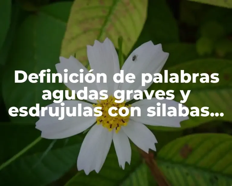 Definición de palabras agudas graves y esdrujulas con silabas tonicas