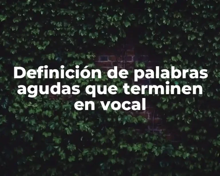 Definición de palabras agudas que terminen en vocal