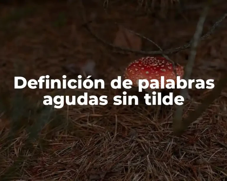 Definición de palabras agudas sin tilde