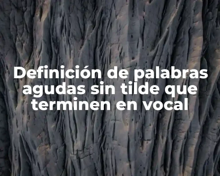 Definición de palabras agudas sin tilde que terminen en vocal