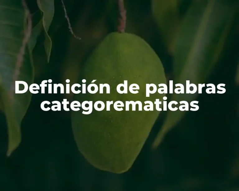 Definición de palabras categorematicas