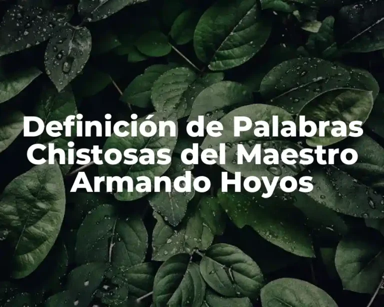 Definición de Palabras Chistosas del Maestro Armando Hoyos