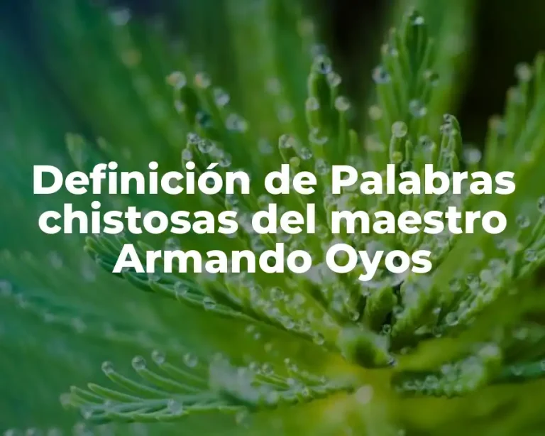 Definición de Palabras chistosas del maestro Armando Oyos