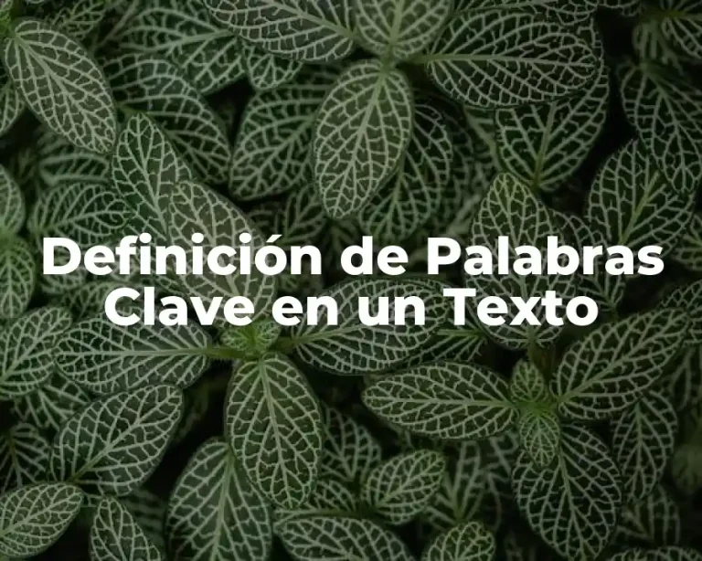 Definición de Palabras Clave en un Texto
