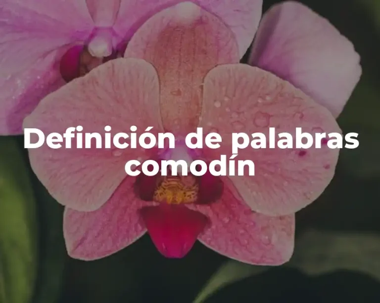 Definición de palabras comodín