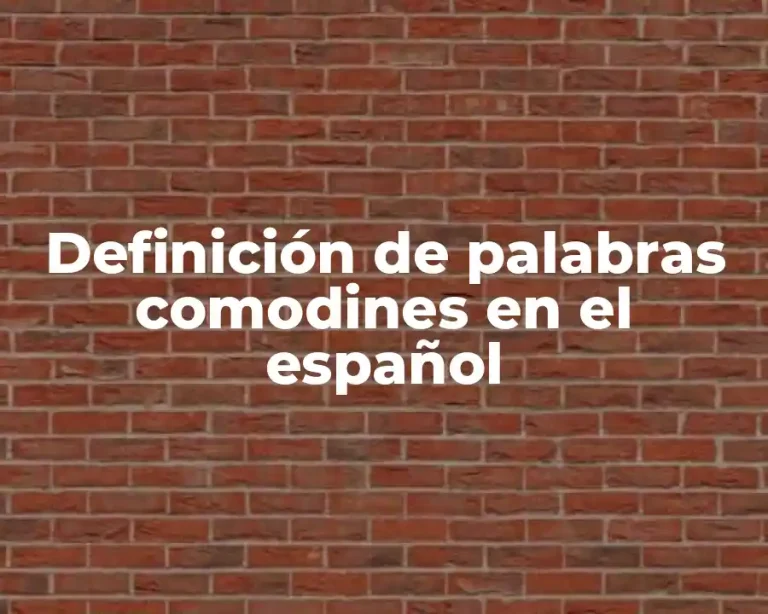 Definición de palabras comodines en el español
