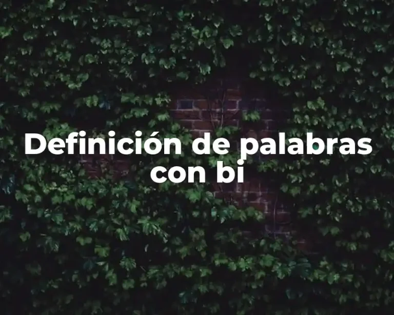 Definición de palabras con bi