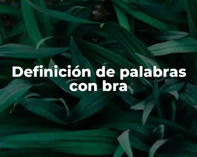 Definición de palabras con bra