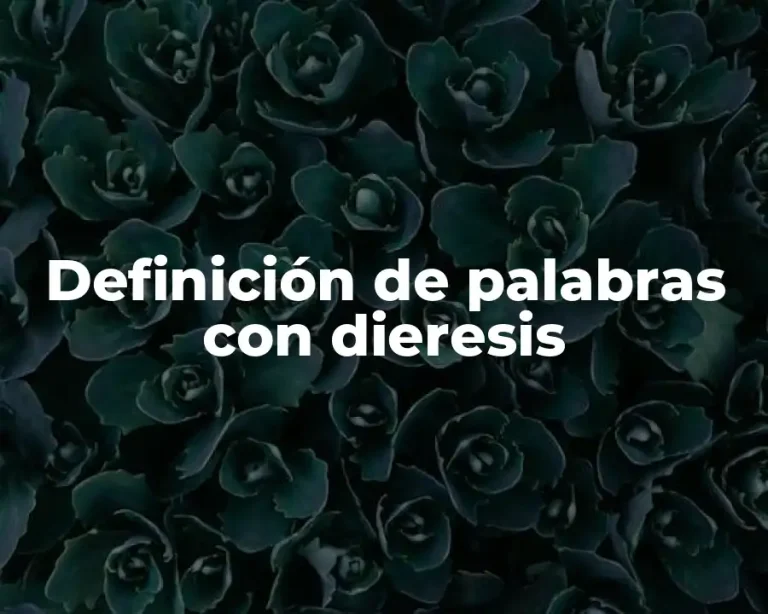 Definición de palabras con dieresis