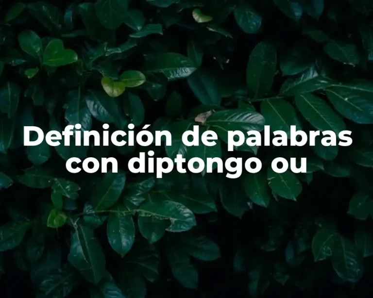 Definición de palabras con diptongo ou