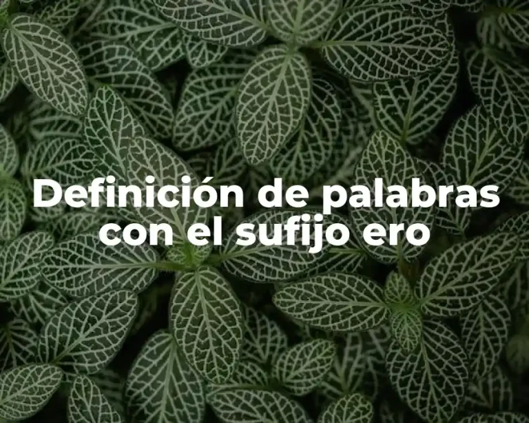 Definición de palabras con el sufijo ero
