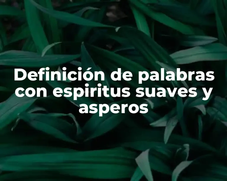 Definición de palabras con espiritus suaves y asperos
