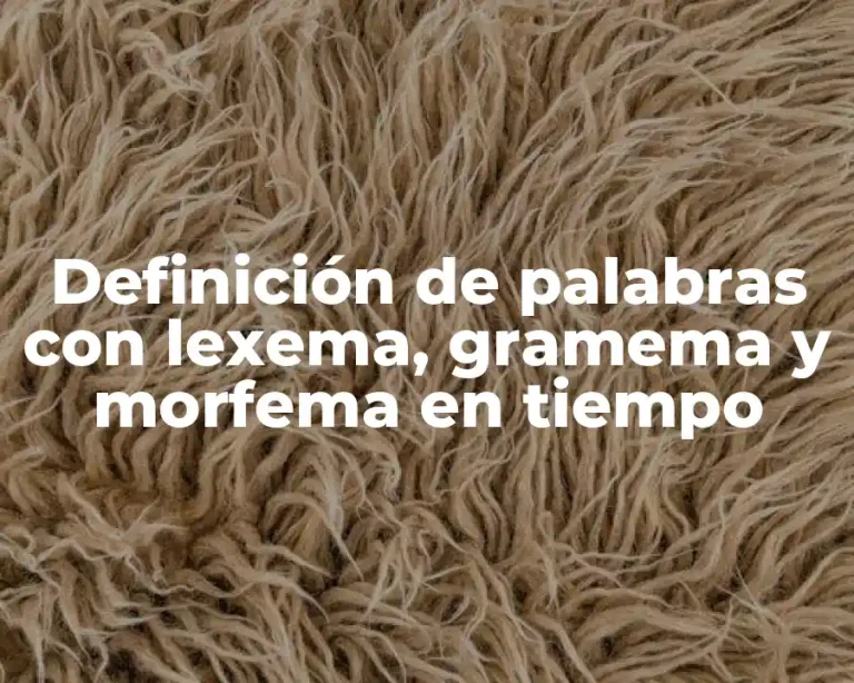 Definición de palabras con lexema, gramema y morfema en tiempo