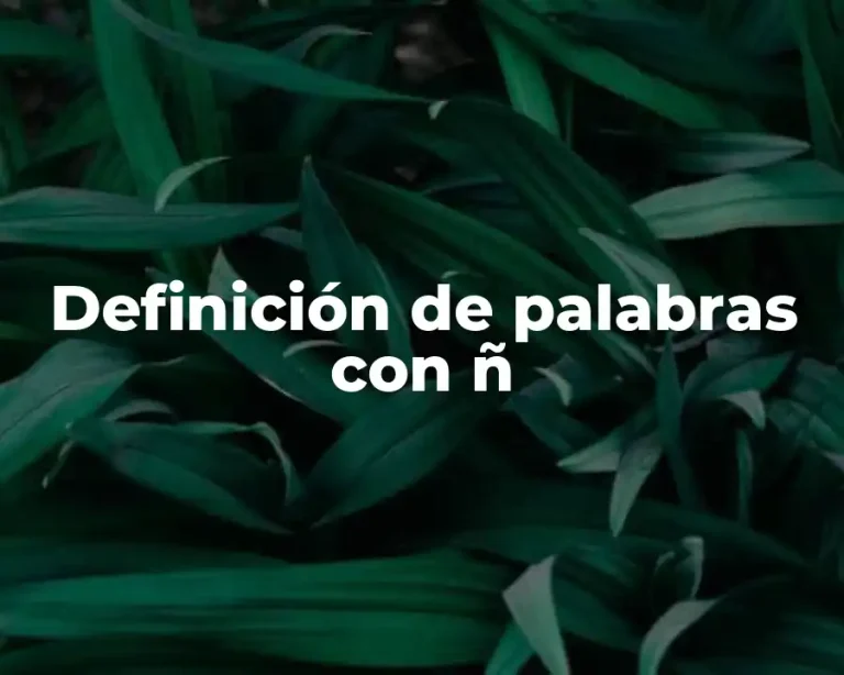 Definición de palabras con ñ