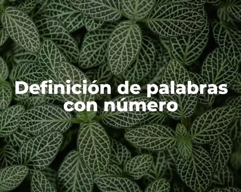 Definición de palabras con número