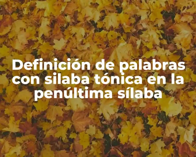 Definición de palabras con silaba tónica en la penúltima sílaba
