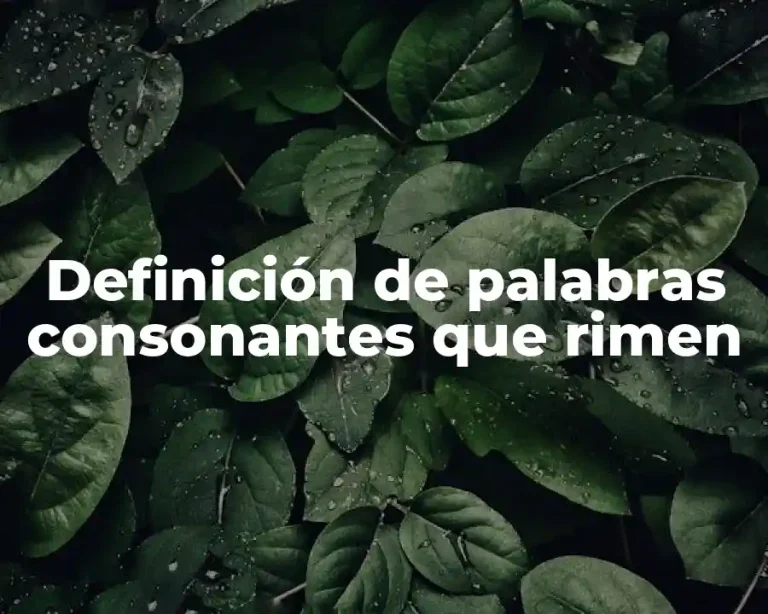 Definición de palabras consonantes que rimen