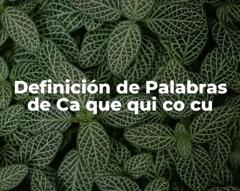 Definición de Palabras de Ca que qui co cu