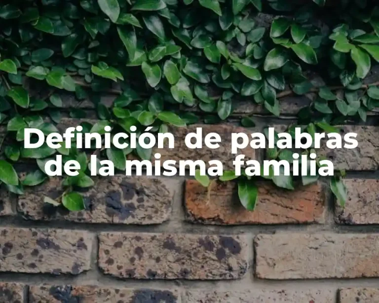 Definición de palabras de la misma familia