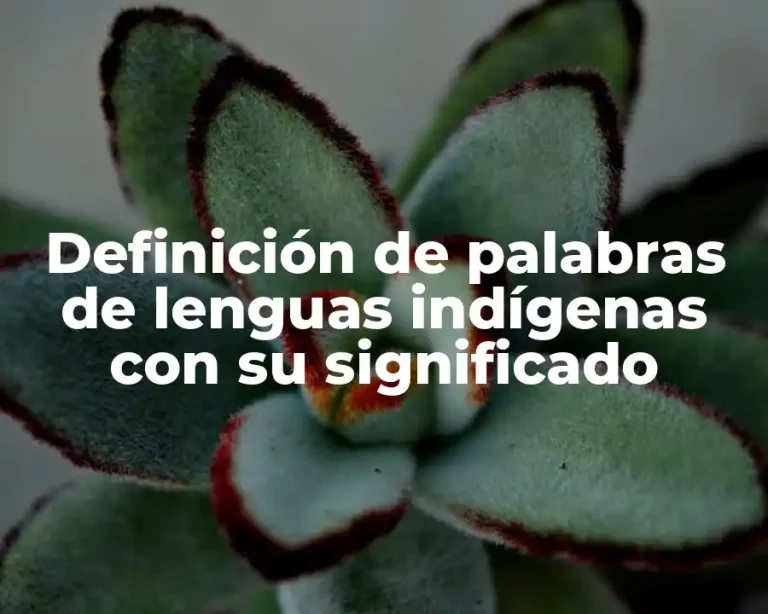 Definición de palabras de lenguas indígenas con su significado