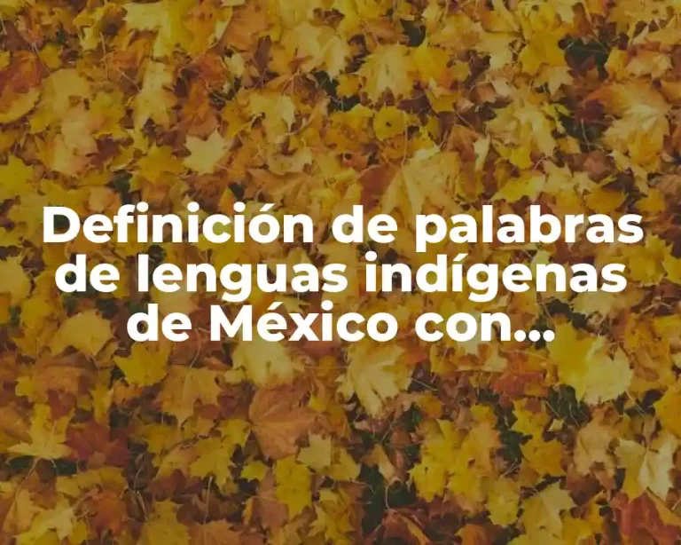 Definición de palabras de lenguas indígenas de México con significado