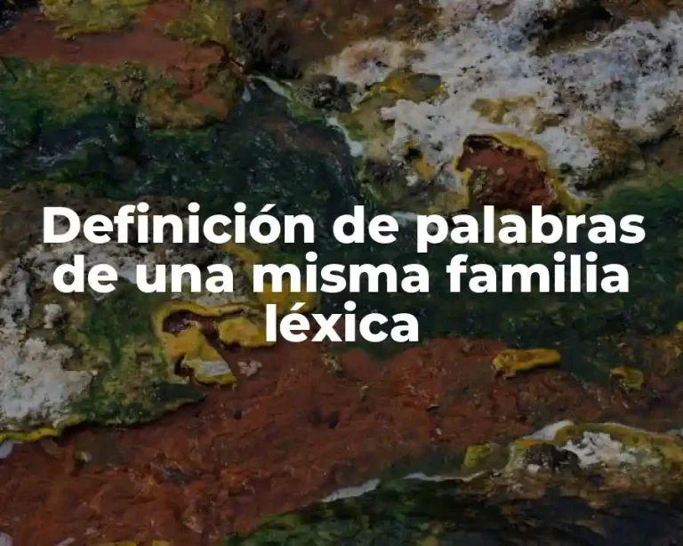 Definición de palabras de una misma familia léxica