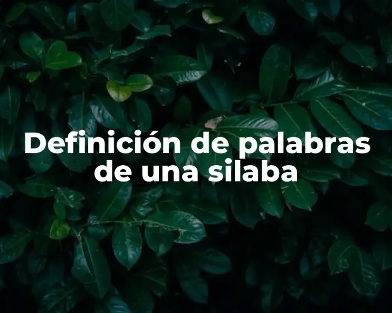 Definición de palabras de una silaba