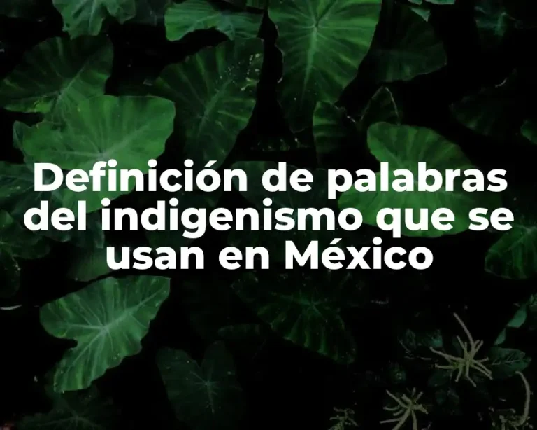 Definición de palabras del indigenismo que se usan en México