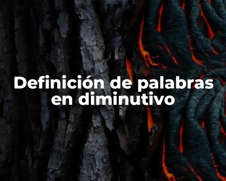 Definición de palabras en diminutivo