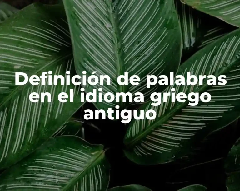 Definición de palabras en el idioma griego antiguo