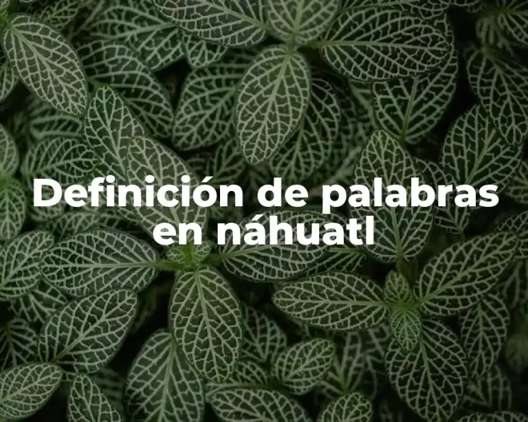 Definición de palabras en náhuatl