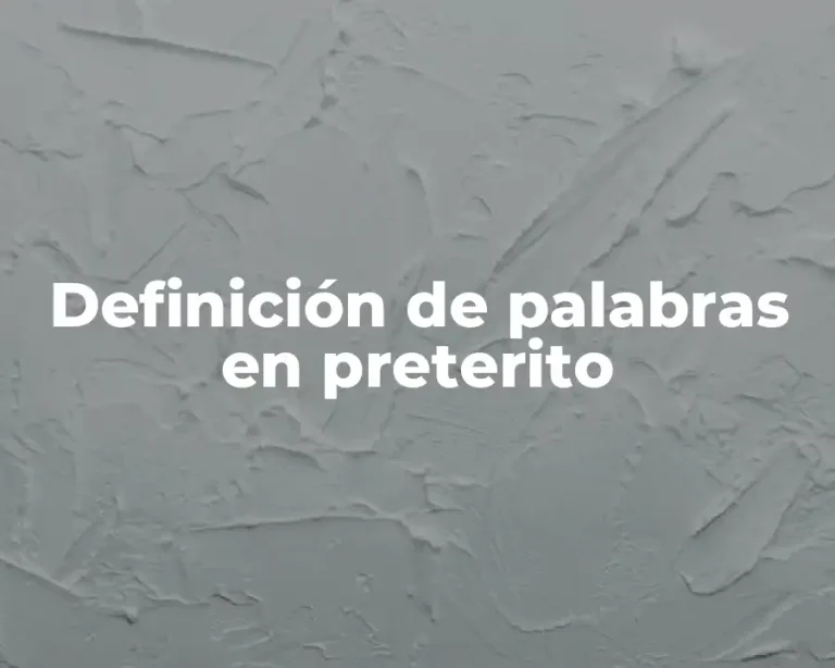 Definición de palabras en preterito