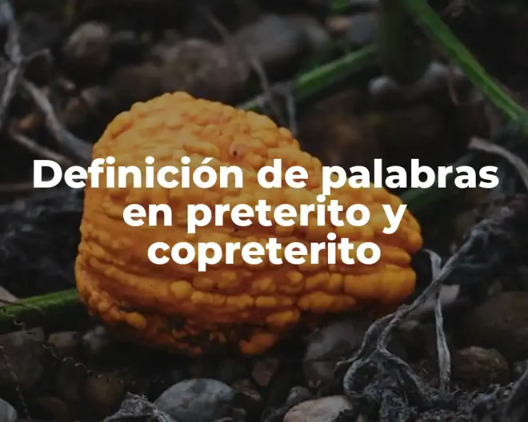 Definición de palabras en preterito y copreterito