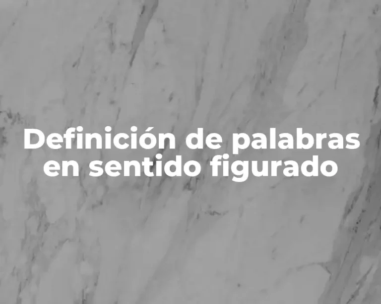 Definición de palabras en sentido figurado