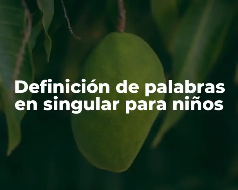 Definición de palabras en singular para niños