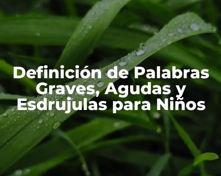 Definición de Palabras Graves, Agudas y Esdrujulas para Niños