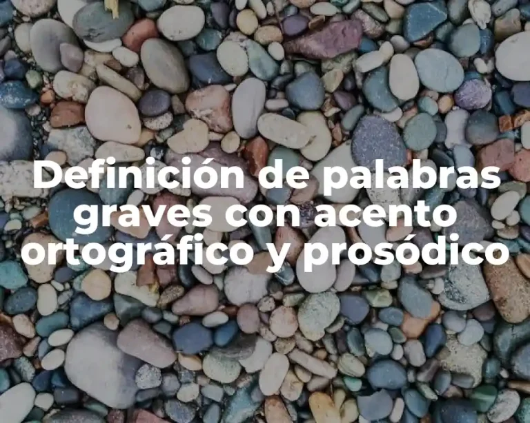 Definición de palabras graves con acento ortográfico y prosódico