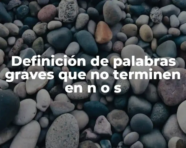 Definición de palabras graves que no terminen en n o s