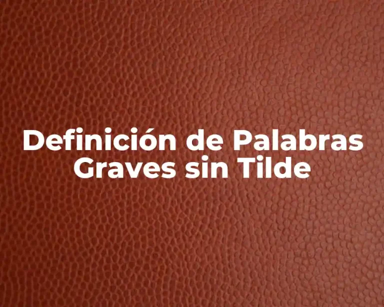Definición de Palabras Graves sin Tilde