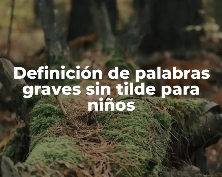 Definición de palabras graves sin tilde para niños